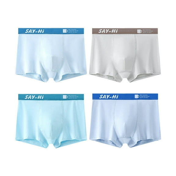 Kids Underwear Boys 4 Pack Briefs Comfortable Breathable Loose Teens Trunks Elastic Waistband Lightweight Performance Moisture Wicking Solid Color Sky Blue1 Boys Boxers Sizes 12-15