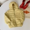 thumbnail image 1 of Kids Winter Coat Boys Puffer Coat with Pocket Zipper Hooded Coat Warm Windproof Children Padded Coats Grils Winter Coats Size 4T, 1 of 2