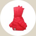 thumbnail image 1 of Kids Winter Coat,Kids Puffer Coat Dinosaur Hooded Jacket Thicken Windproof Zipper Warm Outwear for Kids Child Down Jacket Kids Clothes 4-5 Years, 1 of 4
