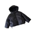 thumbnail image 1 of Kids Winter Coat,Little Boys Girls Puffer Coat Baby Hoodie Thicken Windproof Zipper Warm Outwear for Kids Baby Boys Kids Girls Fall Jacket Baby Girl Clothes Winter, 1 of 4