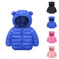 thumbnail image 1 of Kids Winter Coat Winter Jacket Girls Coat & Jacket Winter Baby Kids Long Sleeve Warm Zipper Up Hooded Coat with Pocket, 1 of 5