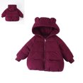 thumbnail image 1 of Kids Winter Coats for Boys Kids Puffer Jacket Zip up Long Sleeve Kids Warm Winter Coat Outerwear Hooded Jackets Kids Girl Winter Clothes 4-5 Years, 1 of 4
