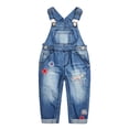 thumbnail image 1 of Kidscool Space Baby Girls Easy Diaper Changing Snap Legs Flower Embroidered Denim Overalls,Blue,9-12 Months, 1 of 7