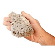 Kidz Rocks Biotite Mica In Andesite 4 1/2" 1 lb -2 lb Raw Chakra Healing Crystal Rock Mineral