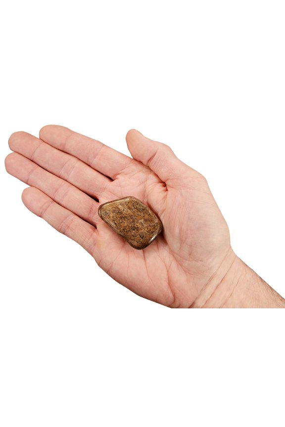 Bronzite 1 3/4" 2-3 oz Tumbled Stone Chakra Healing Crystal Reiki Rock