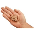thumbnail image 1 of Kidz Rocks Copper Nugget 2 1/2" 4-6 oz Native Float Raw Chakra Healing Crystal Specimen, 1 of 3