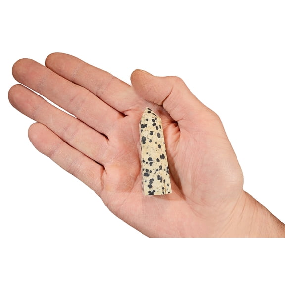Kidz Rocks Dalmatian Jasper Point 2 3/4" Raw Chakra Healing Crystal Rock Mineral Specimen