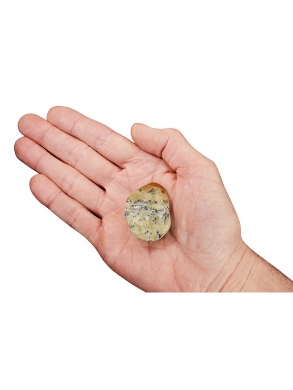 Dendrite Agate 2" Tumbled Healing Crystal Natural Stone Rock Mineral