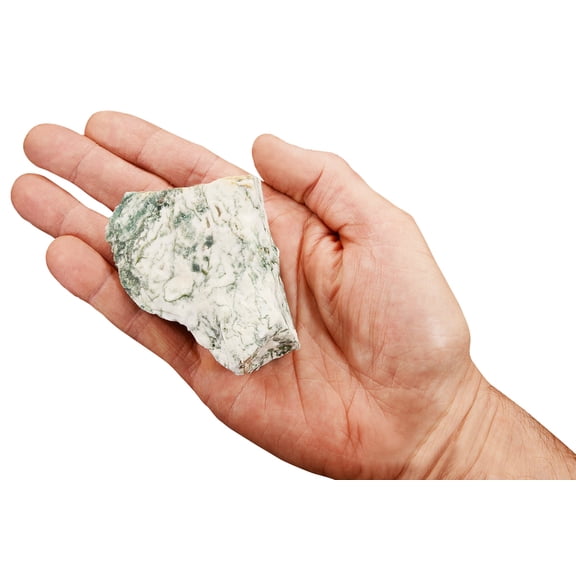 Kidz Rocks Green Tree Agate 3" 8-12 oz Raw Chakra Healing Crystal Rock Mineral Specimen