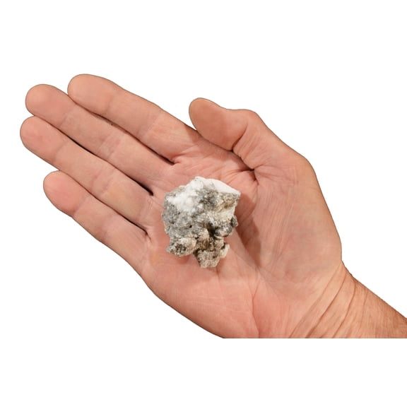 Kidz Rocks Howlite 2" 2-4 oz Raw Rock Mineral Specimen White Healing Stone