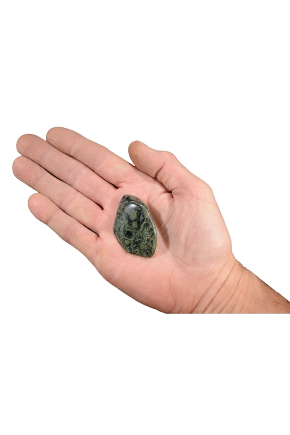 Kambaba Jasper 2" 2 oz Tumbled Healing Stone Green Rock Mineral Crystal