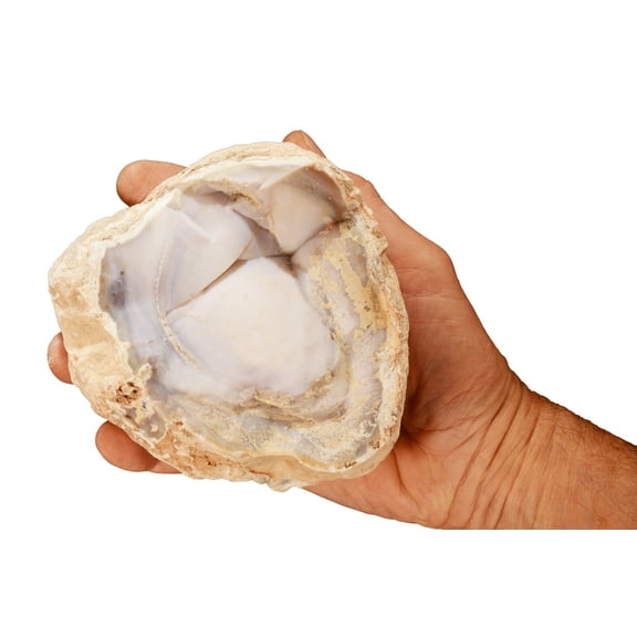 Kidz Rocks Purple Agate 5 1/2" 2-3 lb Raw Chakra Healing Stone Rock Mineral