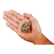 Kidz Rocks Pyrite 2 1/2" 6-8 oz Peru Raw Chakra Healing Stone Gold Rock Mineral