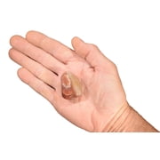 Kidz Rocks Red & Cream Dolomite 1 3/4 Tumbled Crystal Chakra Healing Stone Mineral