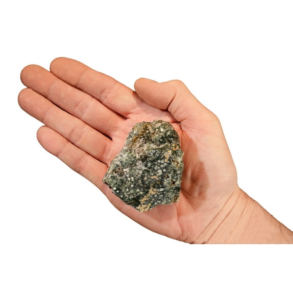 Kidz Rocks Sea Foam Jasper 3" 8-12 oz Raw Chakra Healing Stone Green Rock Mineral