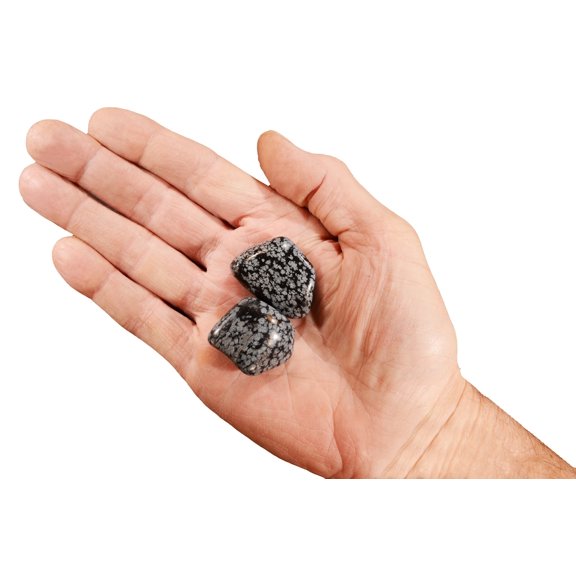 Kidz Rocks Snowflake Obsidian 1 1/4" 2 Piece Tumbled Rock Healing Crystal Black Stone
