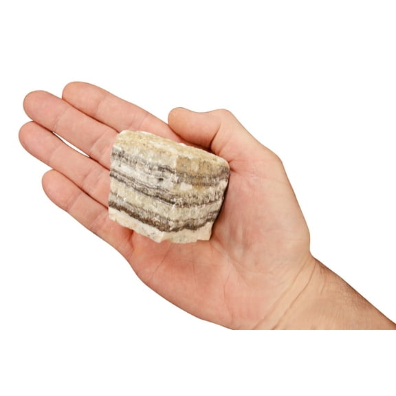 Kidz Rocks Travertine 2" 4-7 oz Tan Raw Chakra Healing Stone Rock Mineral