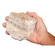 Kidz Rocks Travertine 5 1/2" 2 lb -3 lb Tan Raw Chakra Healing Stone Rock Mineral