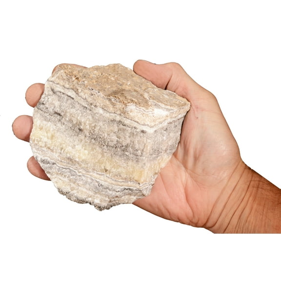 Kidz Rocks Travertine 5 1/2" 2 lb -3 lb Tan Raw Chakra Healing Stone Rock Mineral