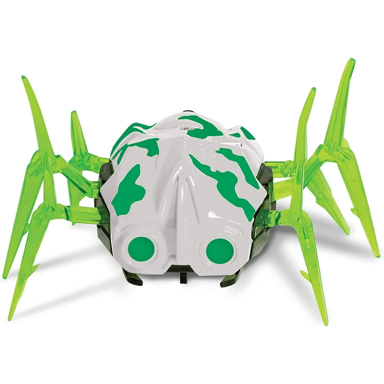 Dynasty robot bug sale
