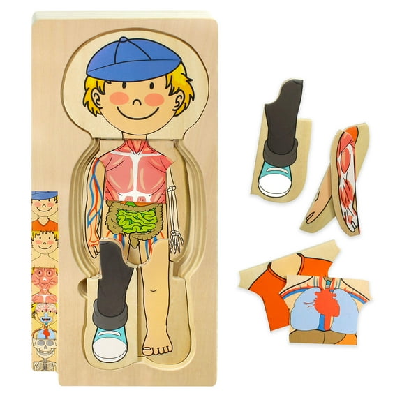 Kidzlane Wooden My Body Puzzle for Toddlers & Kids - 29 Piece Boys Anatomy Play Set
