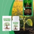 thumbnail image 1 of Kieccall Plant Rooting Powder Growth Enhancement Nutrient Fertilizer Powder for Home Garden Potted Plants Cuttings Root Development Boost, 1 of 8