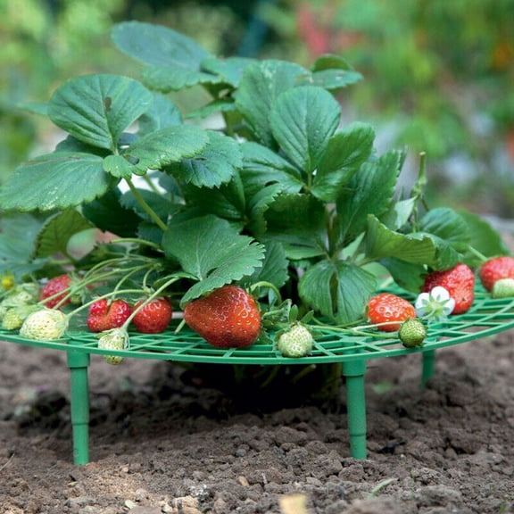 Kieccall Strawberry Growing Rack Vertical Planter Stand for Balcony Vegetable Garden Gift