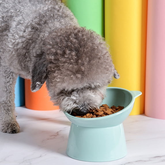 Kieccall Tilted Pet Bowl Non Slip Anti Tip Spill Proof Cat Dog Food Water Bowl for Indoor Pet Feeding Raised Slanted Pet Dish Gift