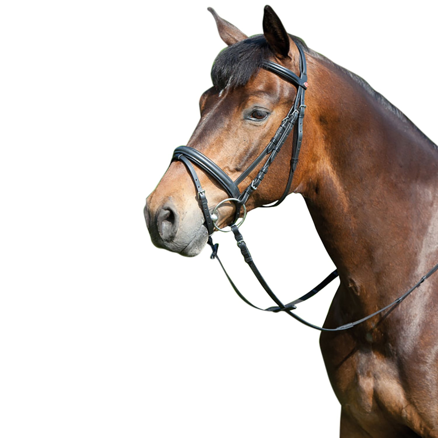 Kieffer Snaffle Bridle - Ergonomic LINE III With Crank Flash Noseband & Padded Crownpiece