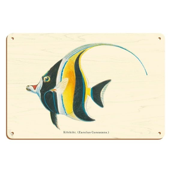Kihikihi (Zanclus Cornutus) - Moorish Idol - from Fishes of Hawaii - Vintage Hawaiian Color Postcard c.1905 - 8 x 12 inch Vintage Wood Art Sign
