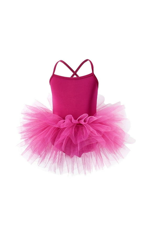 Girls Ballet Dance Dress Leotard Sleeveless Dancewear Ballet Tutu Skirt, Sizes 5-6