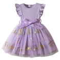 thumbnail image 1 of Kiijoy Girls Flower Embroidery Tutu Dress Ruffle Sleeveless Mesh Princess Dress, Sizes 6M-5T, 1 of 5