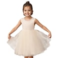 thumbnail image 1 of Kiijoy Little Girls Sleeveless Tutu Party Dress Open Back Bow Princess Dress Pageant Gown, 1 of 5