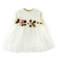 thumbnail image 1 of Kiijoy Newborn Girls Flower Embroidery Ribbed Long Sleeve Dress Fall Mesh Princess Dress, 1 of 2