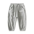 thumbnail image 1 of Kiijoy Toddler Boys Lined Jogger Pants Winter Warm Casual Sweatpants, Sizes 3-4, 1 of 7
