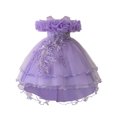 thumbnail image 1 of Kiijoy Toddler Girls Birthday Party Dress Floral Embroidery Ruffles Pageant Gown, 1 of 6