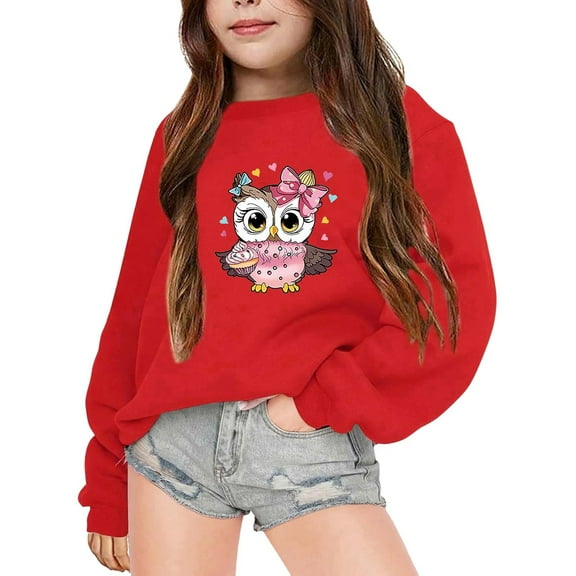 Kiijoy Toddler Girls Graphic Sweatshirt Cartoon Owl Print Casual Pullover Top, Sizes 3-4