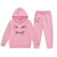 thumbnail image 1 of Kiijoy Toddler Girls Cartoon Cat Print Hoodie Sweatpants Outfits Sweatsuits, Sizes 2-3T, 1 of 5
