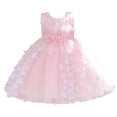 thumbnail image 1 of Kiijoy Toddler Girls Sleeveless Lace Mesh Dress Wedding Pageant Party Dress, Sizes 4-5, 1 of 6