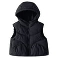thumbnail image 1 of Kiijoy Winter Girls Stylish Hooded Vest Kids Sleeveless Outerwear Puffer Jacket, Sizes 5-6, 1 of 6