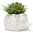 thumbnail image 1 of Kikkerland Design Hedgehog Home Mini Planter for Small Plants Flowers Succulents, White Porcelain, 1 of 5