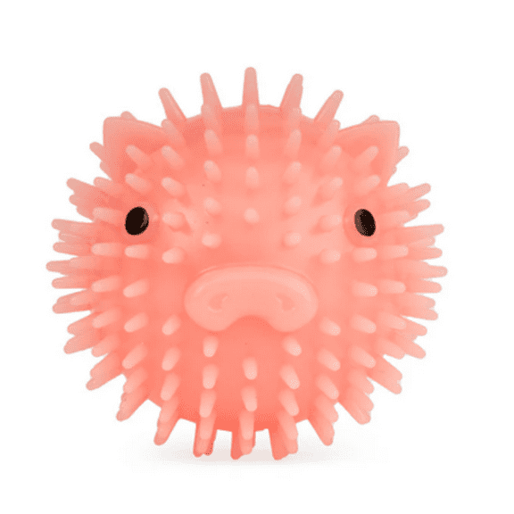 Kikkerland Piggy Dog Ball