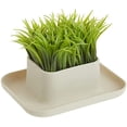 thumbnail image 1 of Kikkerland Potted Pen Phone Stand (SC25), 1 of 5