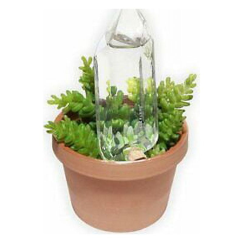 Hand-Blown Clear Glass Self-Watering Plant Globe, 6.3 inches