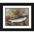 thumbnail image 1 of Kilbourne, Samuel 32x25 Black Ornate Wood Framed with Double Matting Museum Art Print Titled - Lake Trout, 1 of 4
