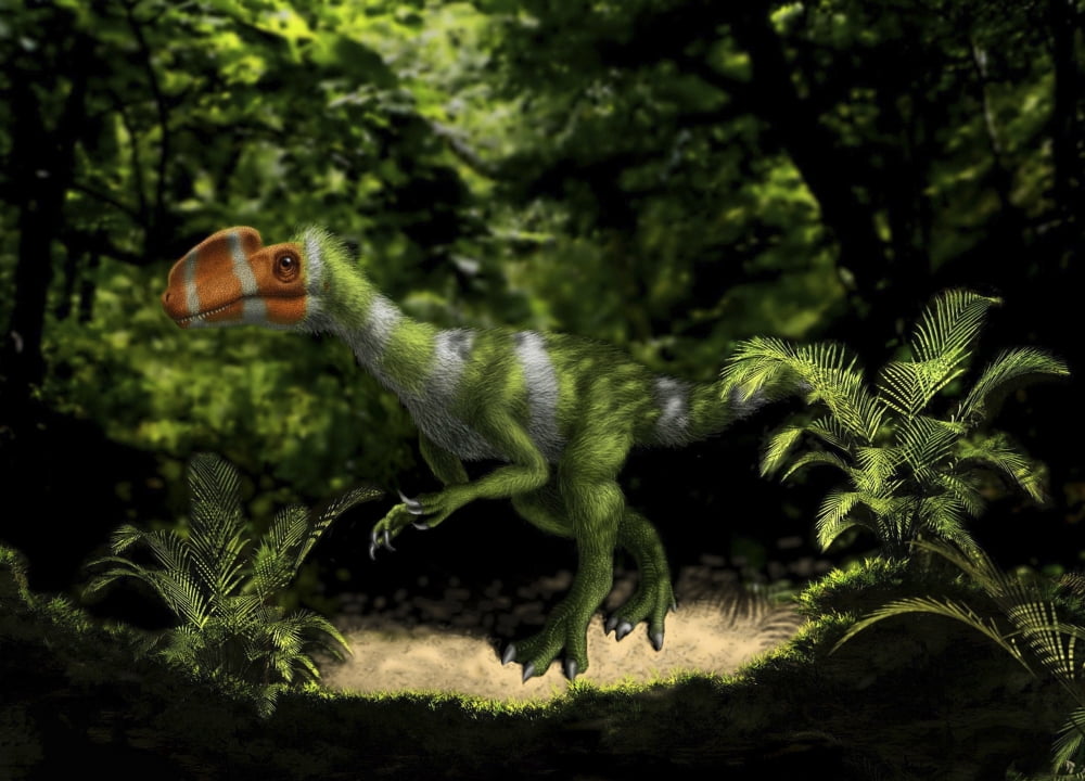 Kileskus aristotocus of the Middle Jurassic Period Canvas Art - Yuriy PriymakStocktrek Images (33 x 24)