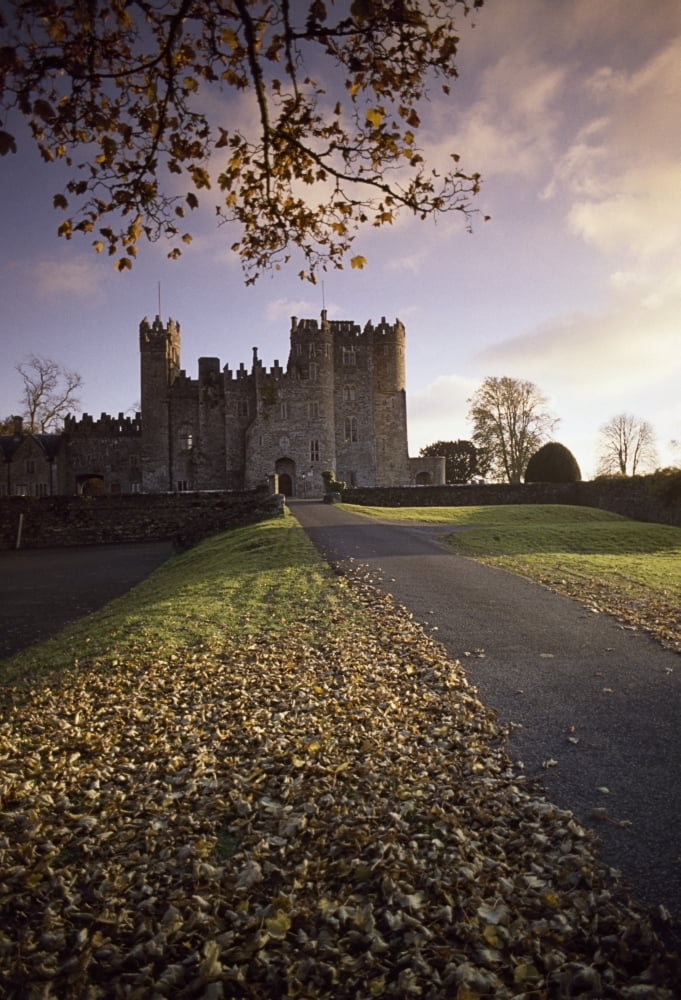 Kilkea Castle Co Kildare Ireland Road Leading To A 12Th Century Castle At Sundown Canvas Art - The Irish Image Collection Design Pics (12 x 18)