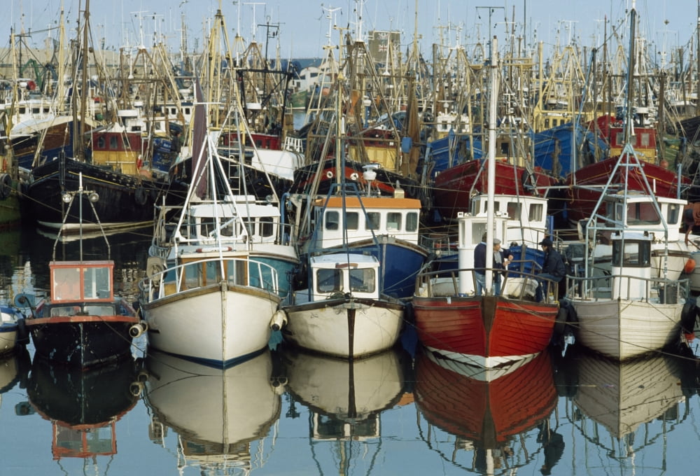 Kilkeel Co Down Ireland Rows Of Boats In A Harbour Canvas Art - The Irish Image Collection Design Pics (36 x 24)