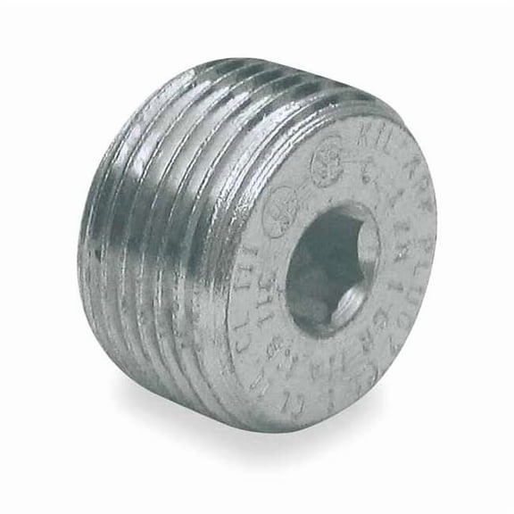 Hubbell Killark Haz Loc Plug, 3/4 in, Threaded, Steel, Powder Coated, Gray PLUG2