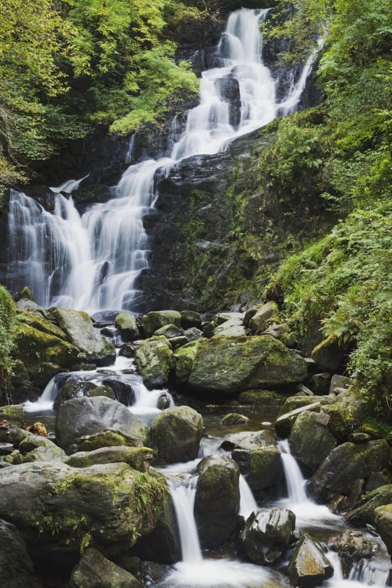 Killarney County Kerry Ireland Torc Waterfall On Torc Mountain Canvas Art - Peter Zoeller Design Pics (24 x 38)